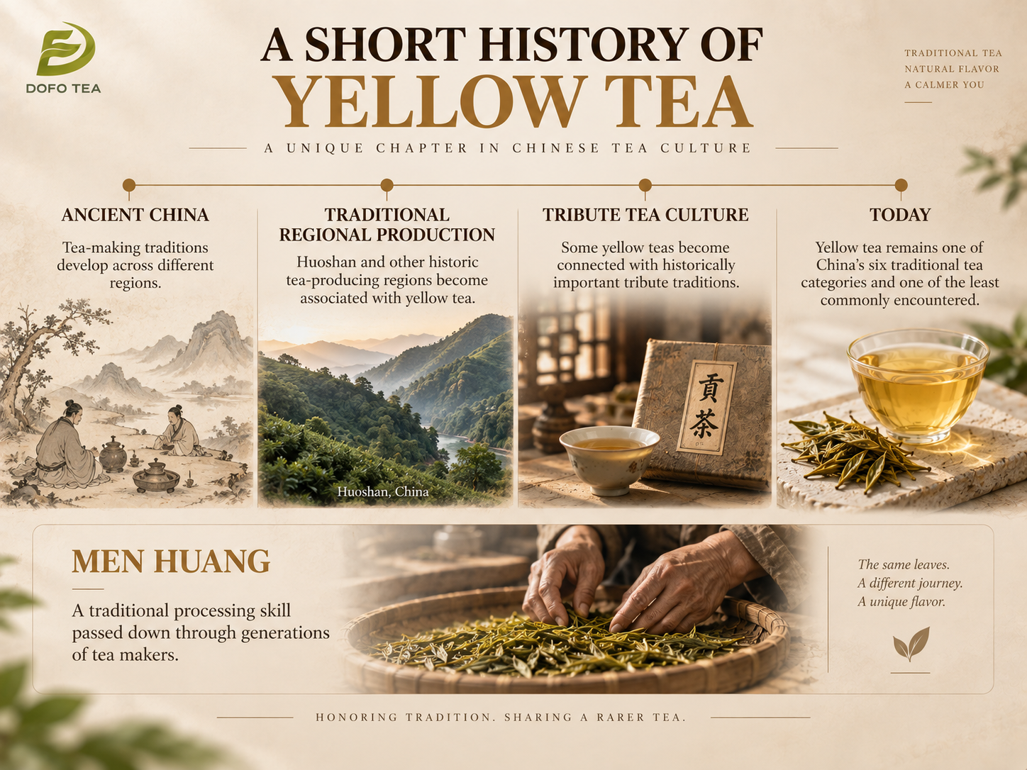 A Short History of Yellow Tea