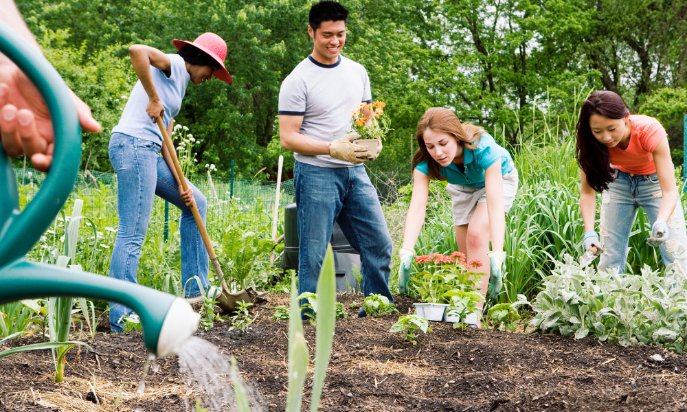 Members of the community gardening together