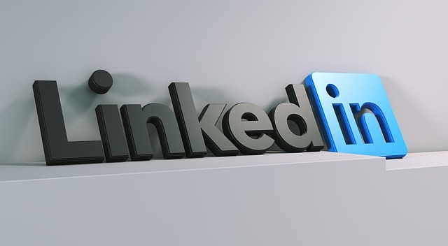 linkein, social network