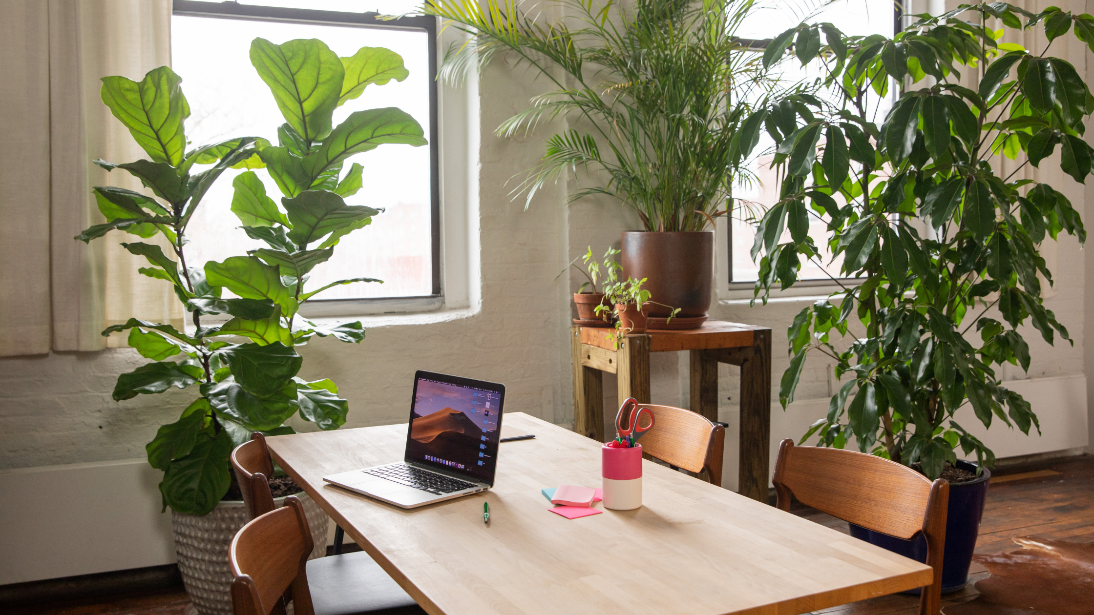A very green workspace!
