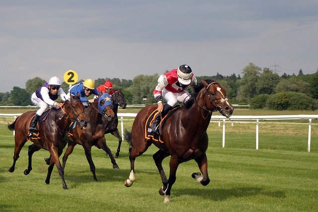 horse race, horse racing, jockey