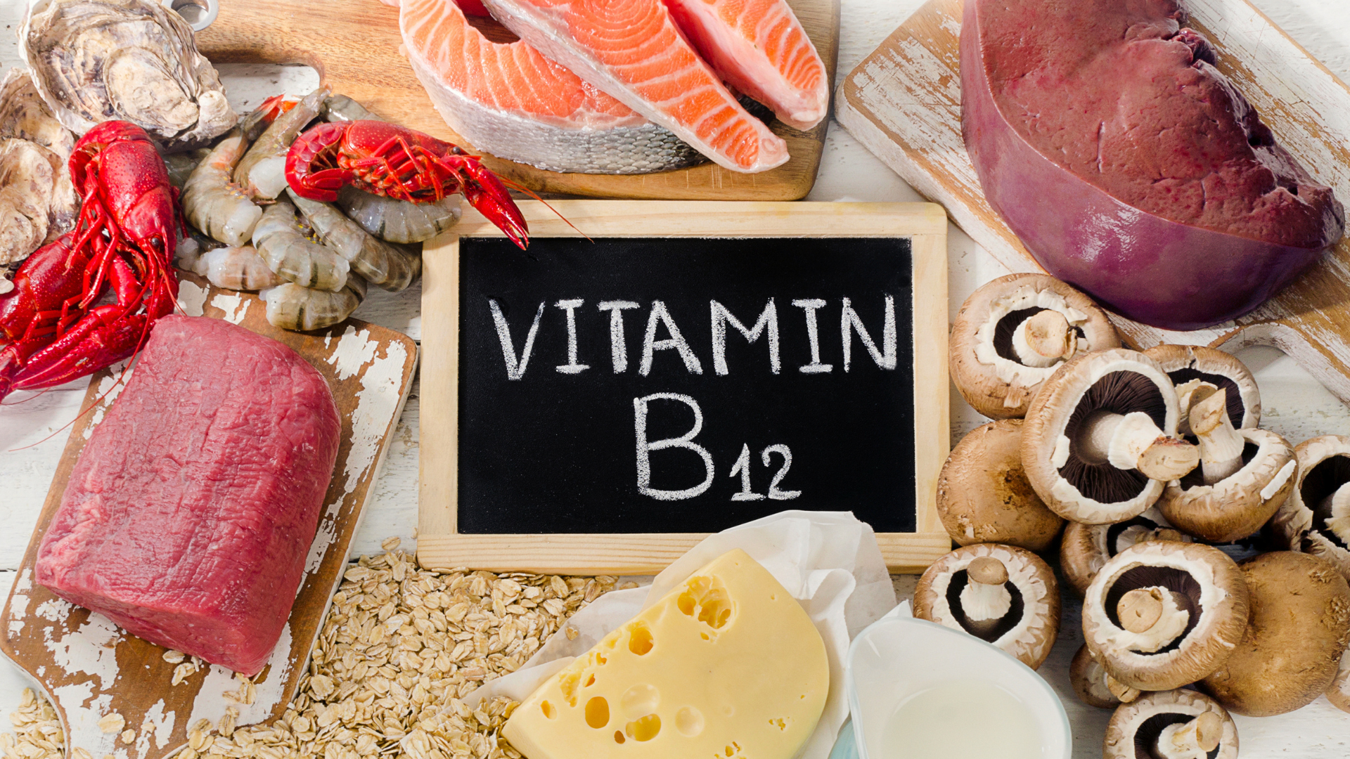 Vitamin B12 Hund