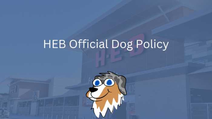 Image Text: HEB Official Dog Policy