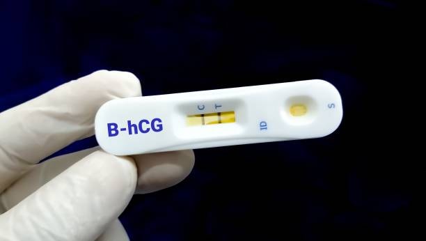 Beta hCG Test | Pregnancy Test Results | Beta Protein | False Positives | Germ Cell Tumors | Uterine wall | Menstrual Cycle | Testicular Cancer | Gestational Sac | HCG Levels