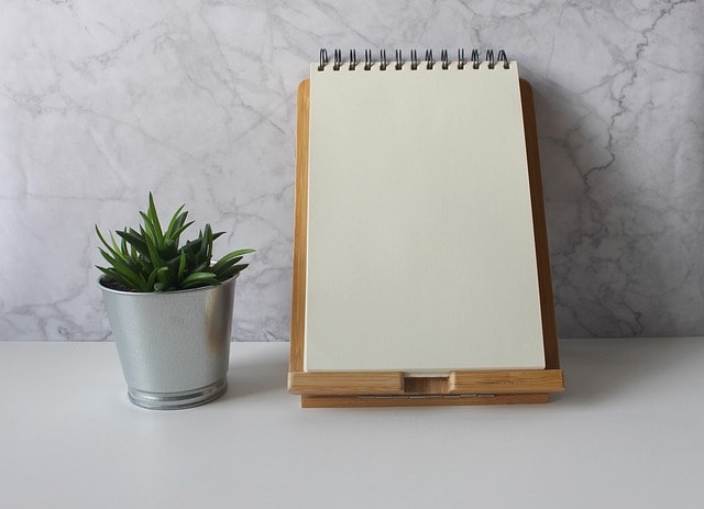  A blank notebook and a plant, representing the writing process.