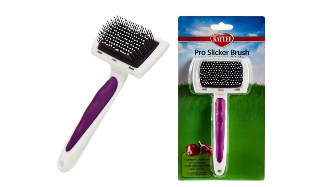 kaytee pro slicker brush
