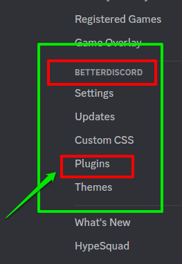 Image showing the BetterDiscord header on the Discord user settings menu