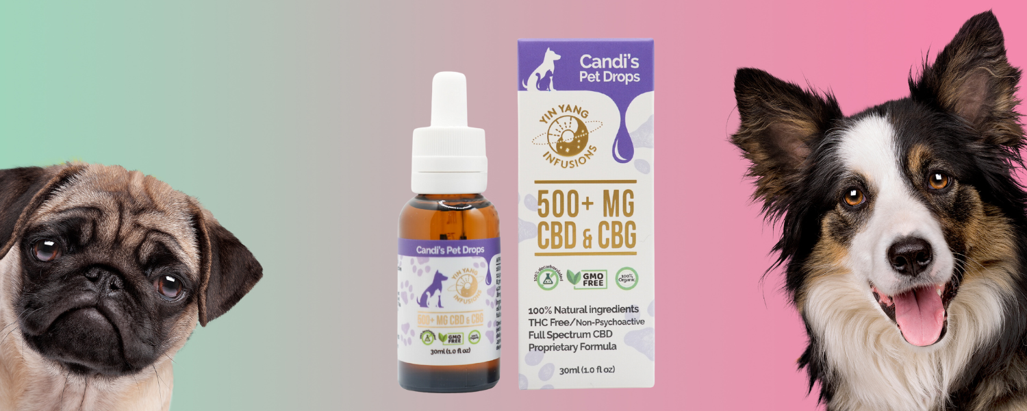 A bottle of CBD+CBG pet drops with a dog in the background