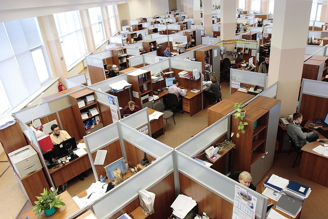 office, cubicles, employees