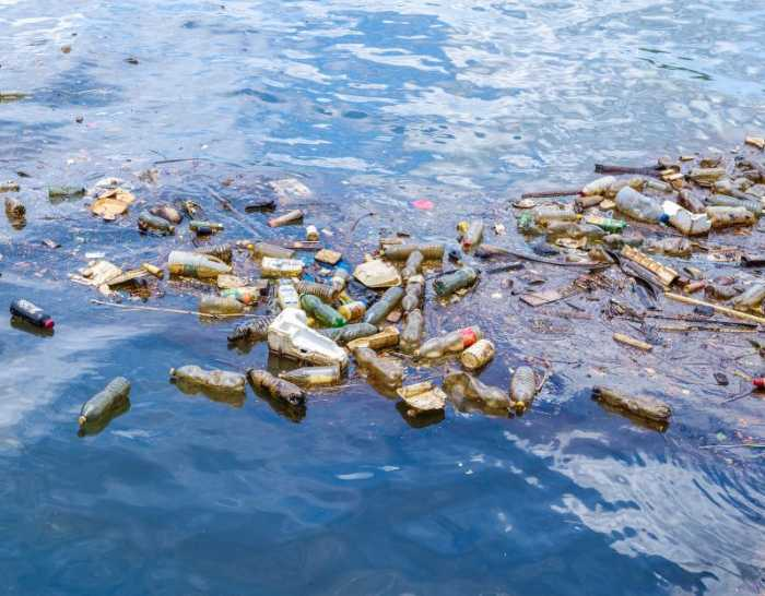 plastic bottles floating in the ocean