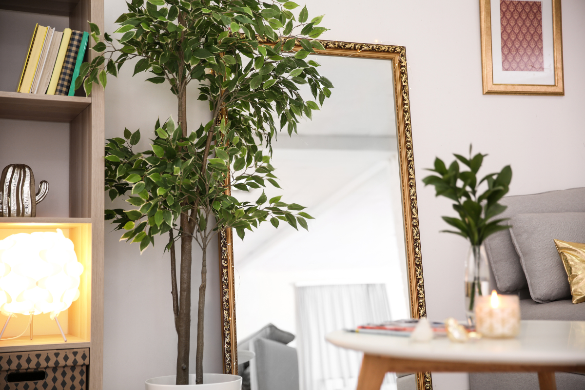 Strategically placed large plants creating focal points in a living room