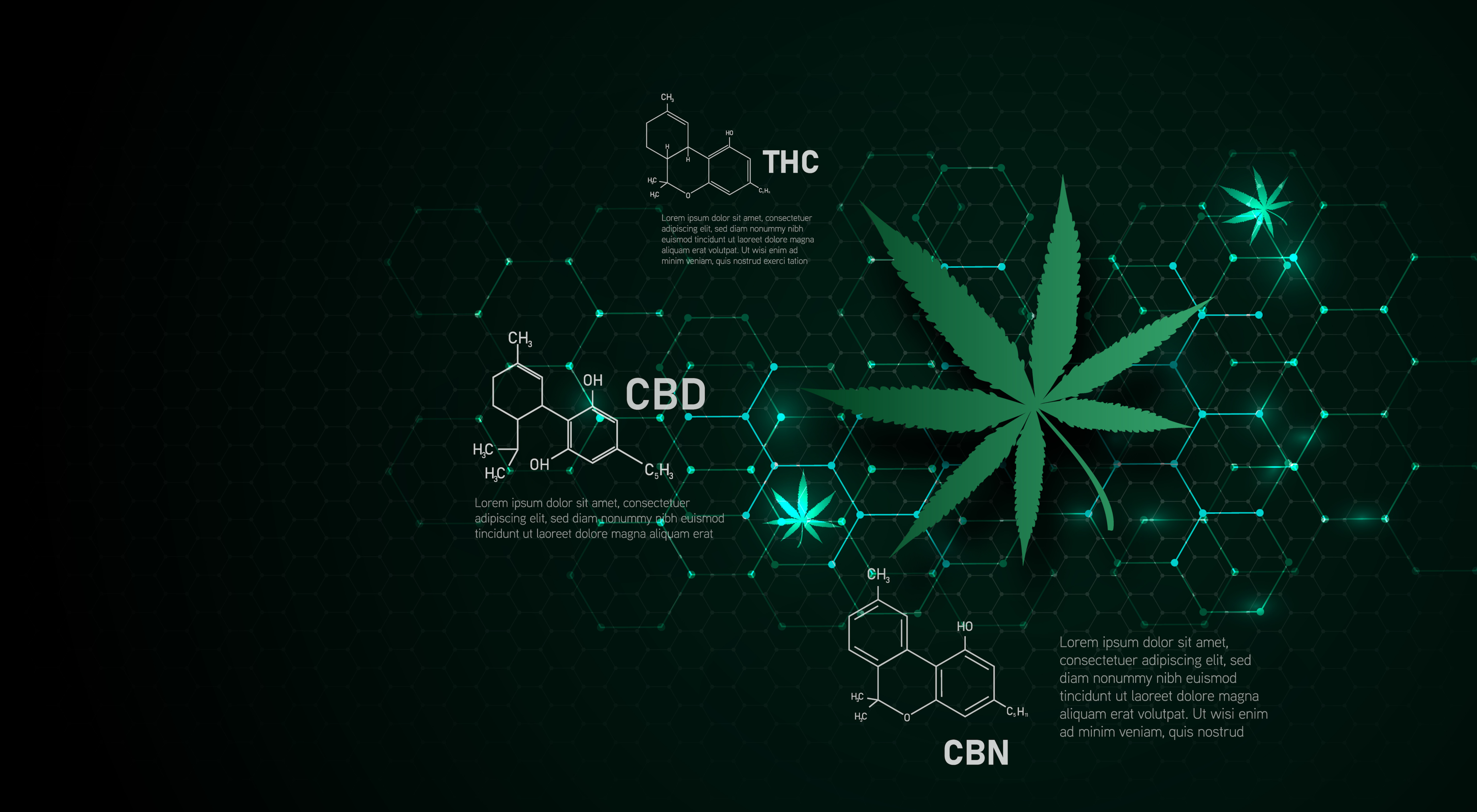 There are over 100 different cannabinoids in the cannabis plant, not just Delta 8 THC, Delta 9 THC or CBD.