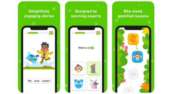 duolingo para aprender francés