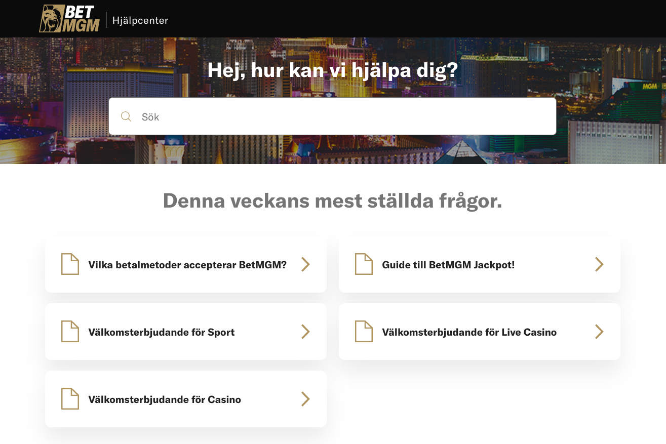 Betmgm support
