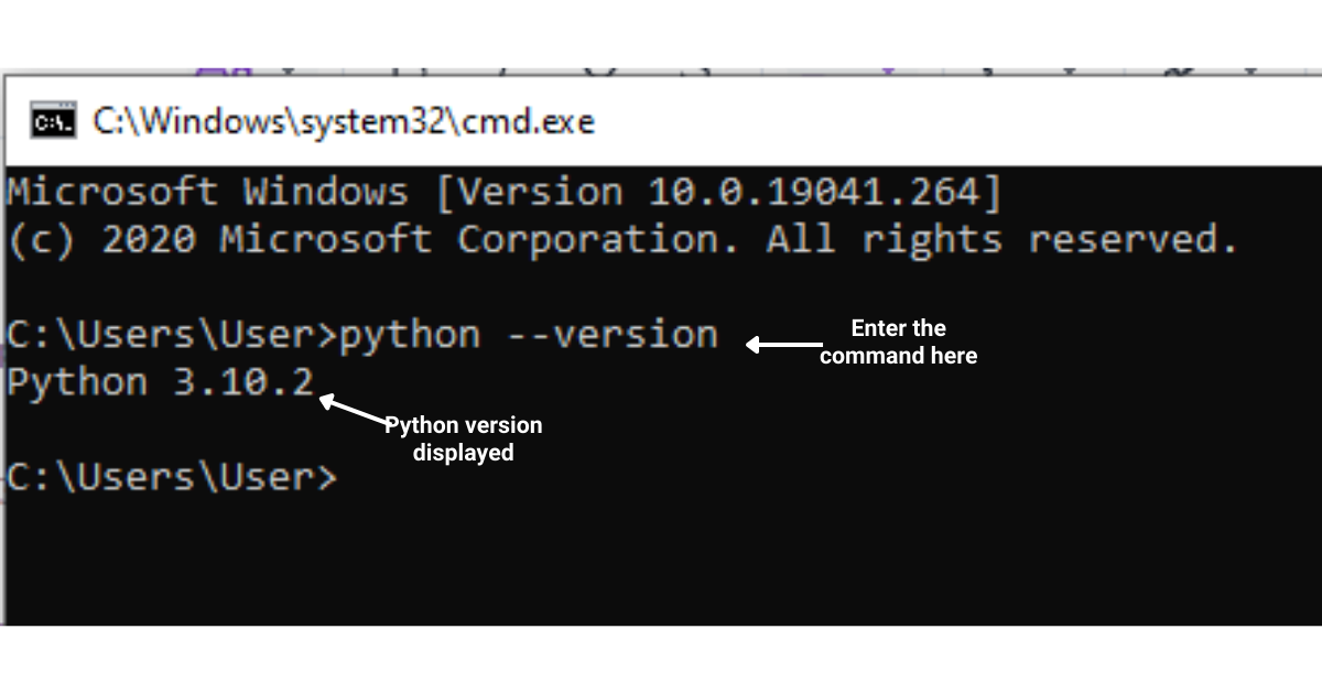 check python version in cmd linux