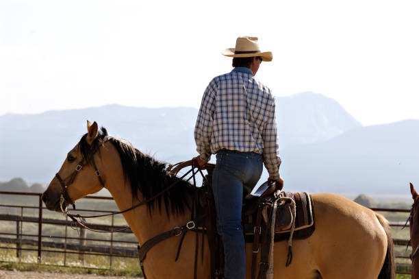 A cowboy on a buckskin horse