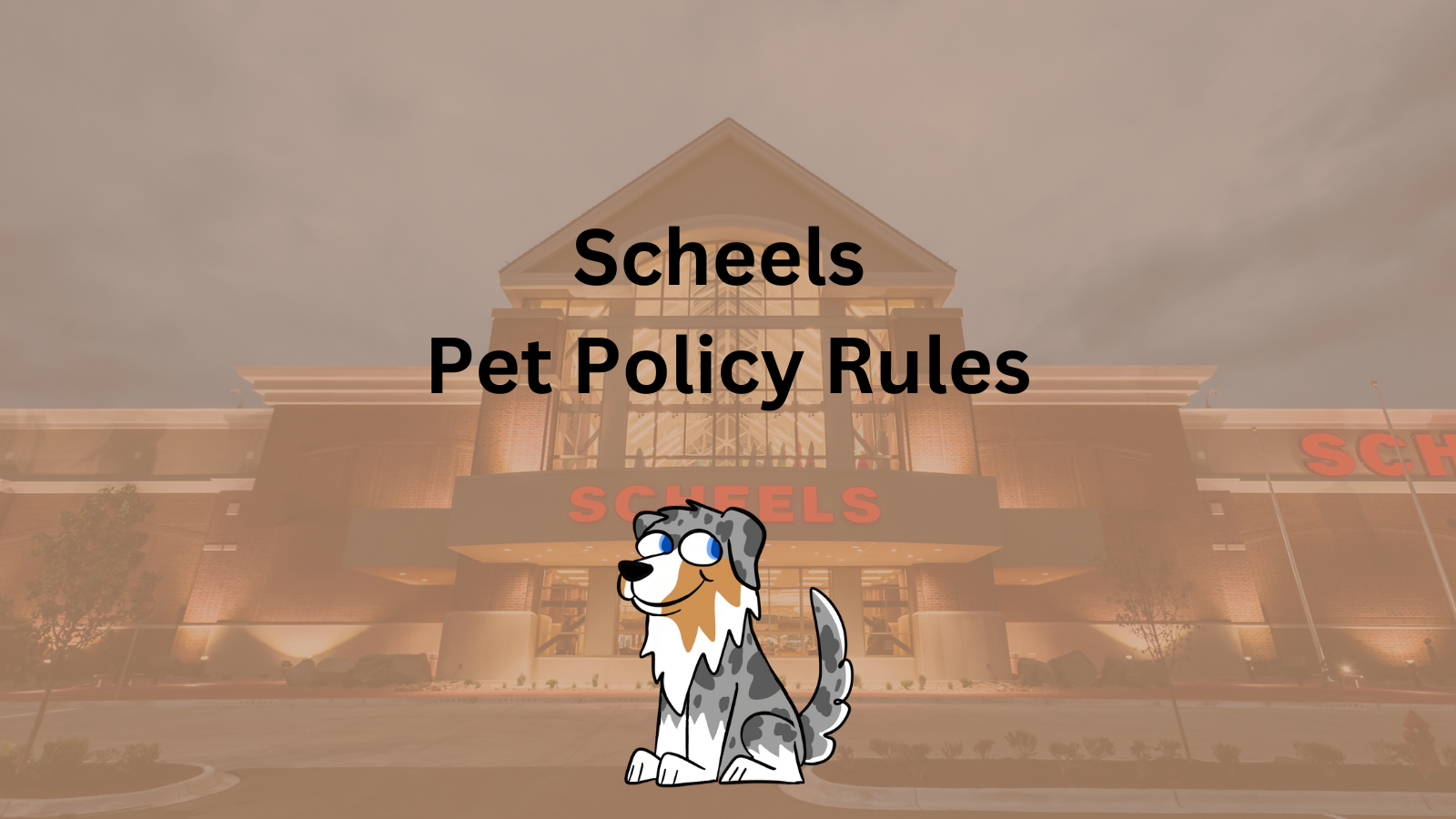 Image Text: "Scheels Pet Policy Rules"