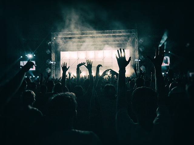 crowd, concert, music festival