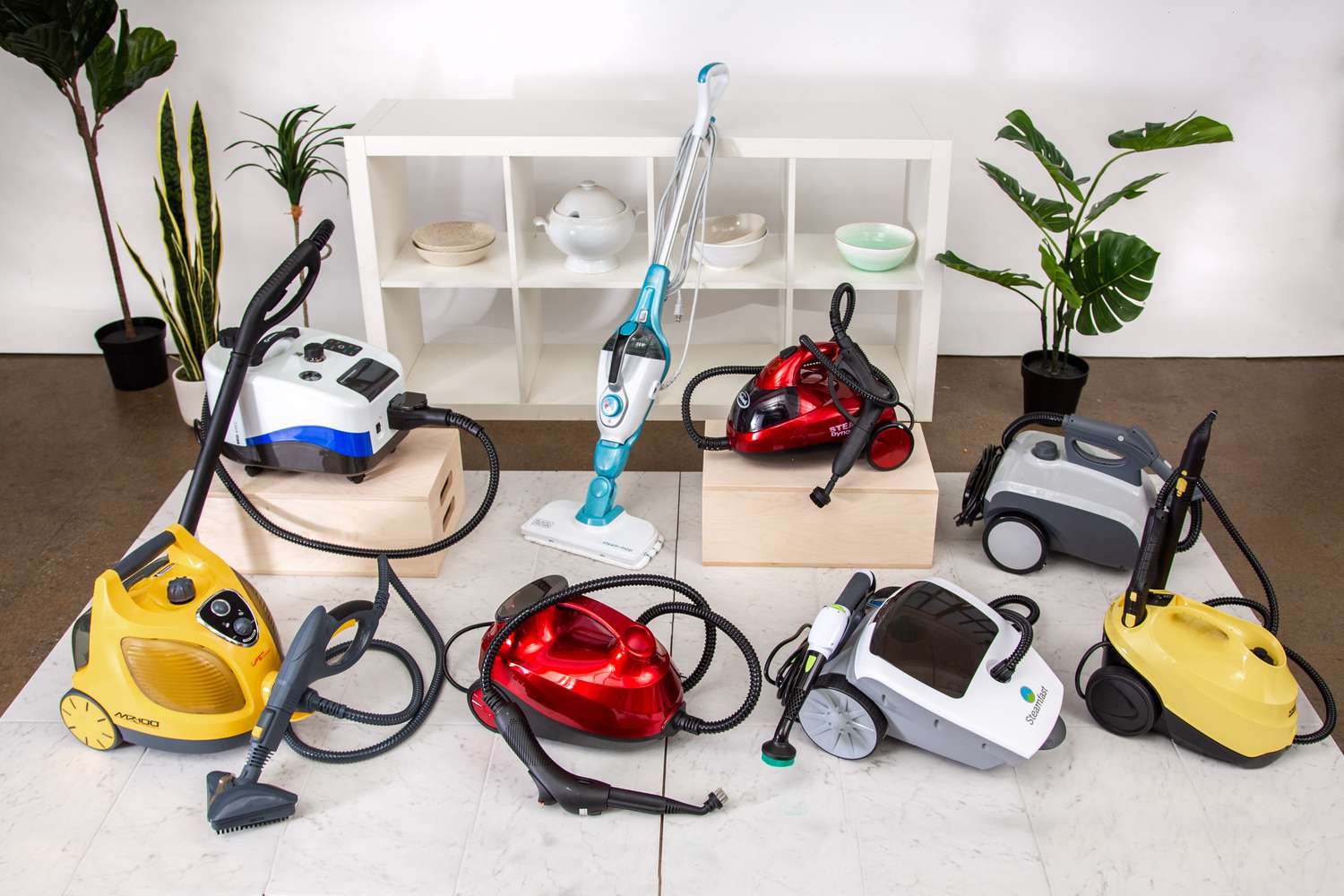 Insect Steam Bed Bug Steam Treatment: Pros and Cons of Pest-Annihilating Method