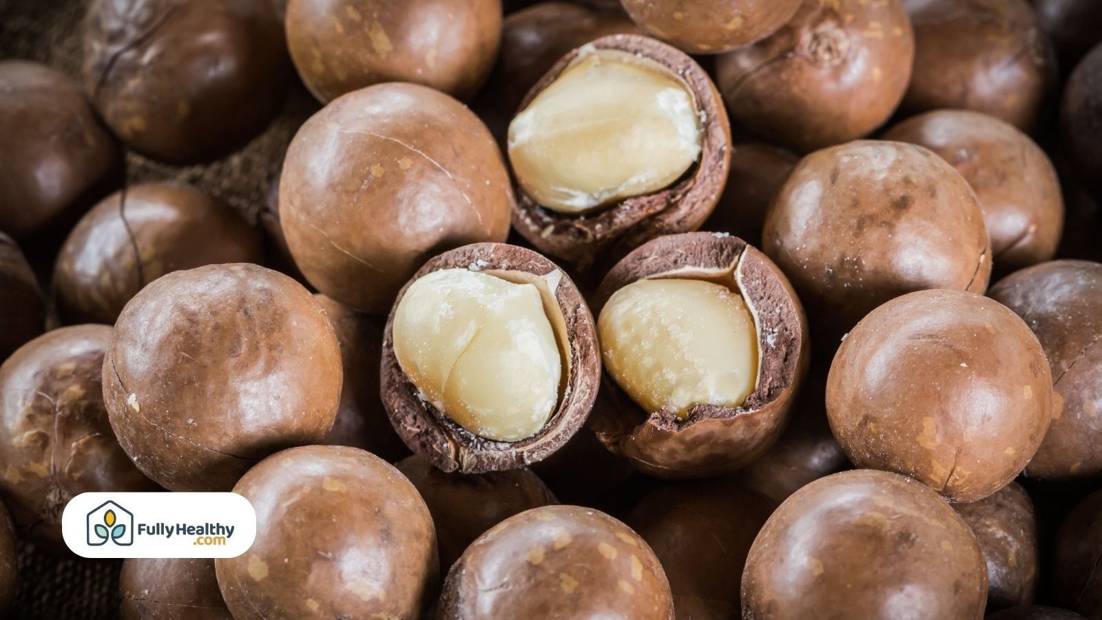 Split macadamia nuts with visible white kernels among whole nuts