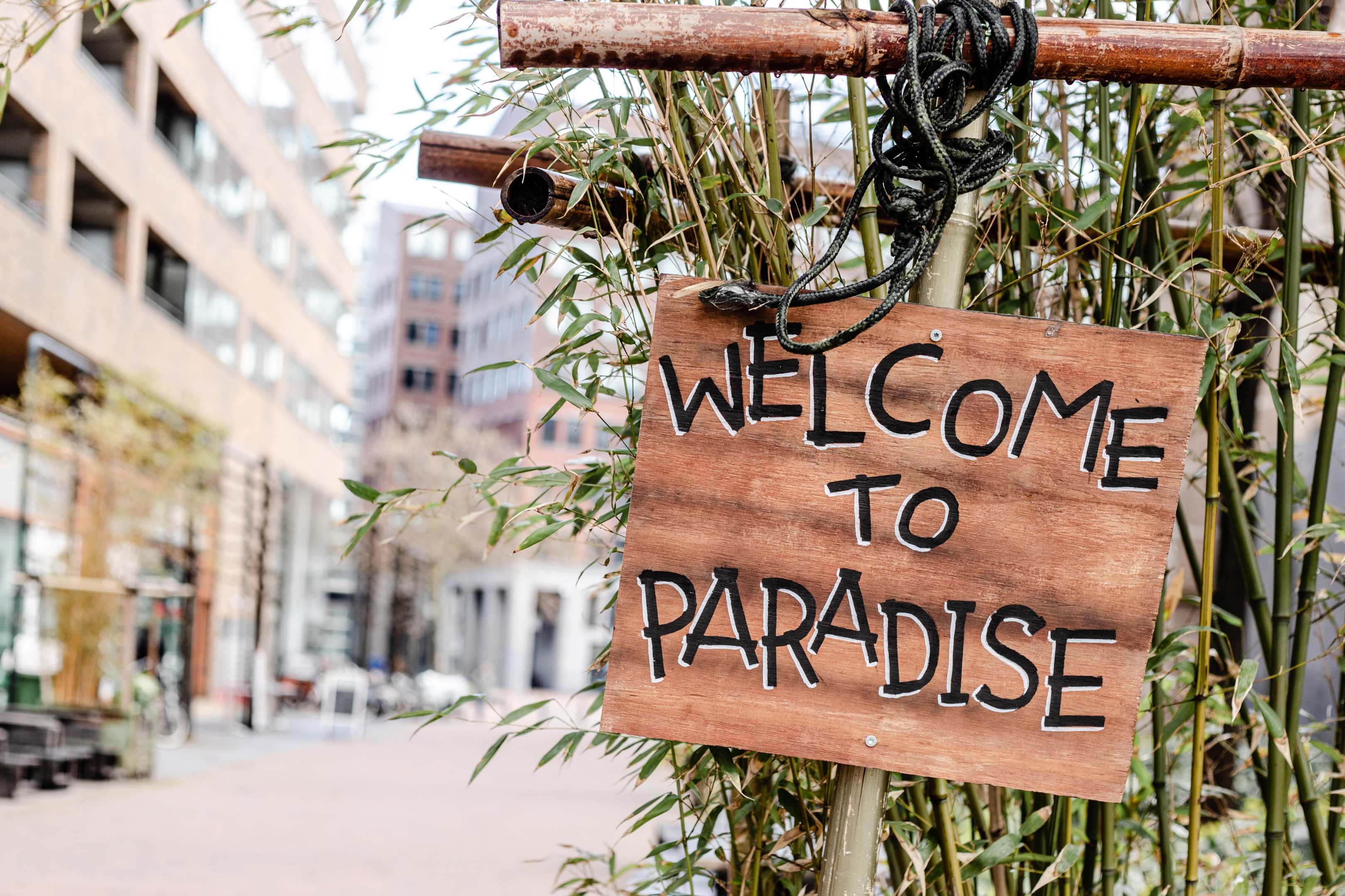 Photo of "Welcome to paradise" signage