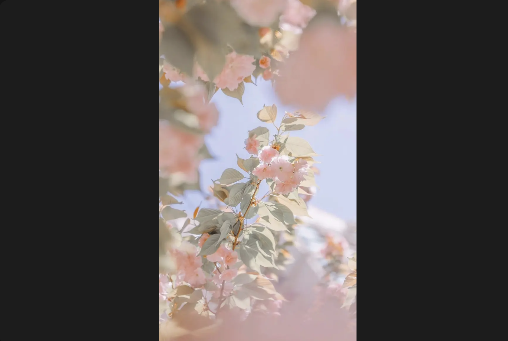 aesthetic wallpaper
