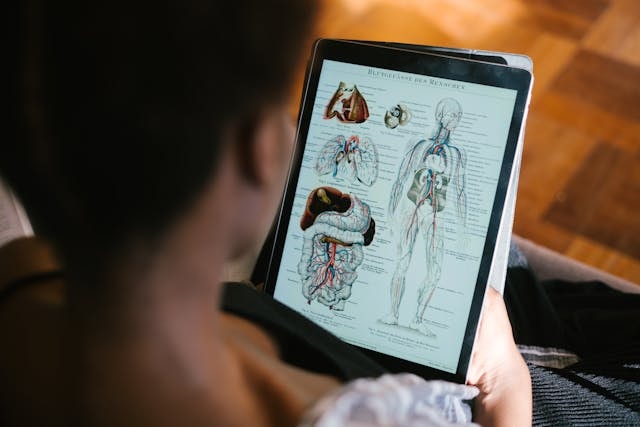 A woman studying anatomy on a tablet 