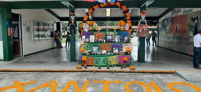 Arco de una ofrenda con flores