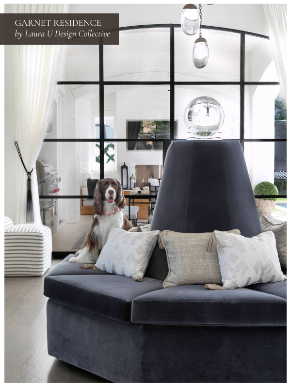 A central seating arrangement in soft charcoal velvet with accent pillows sits beneath large black steel windows. Natural light floods the entry, and a spaniel dog lounges on the bench, adding warmth to the modern space.