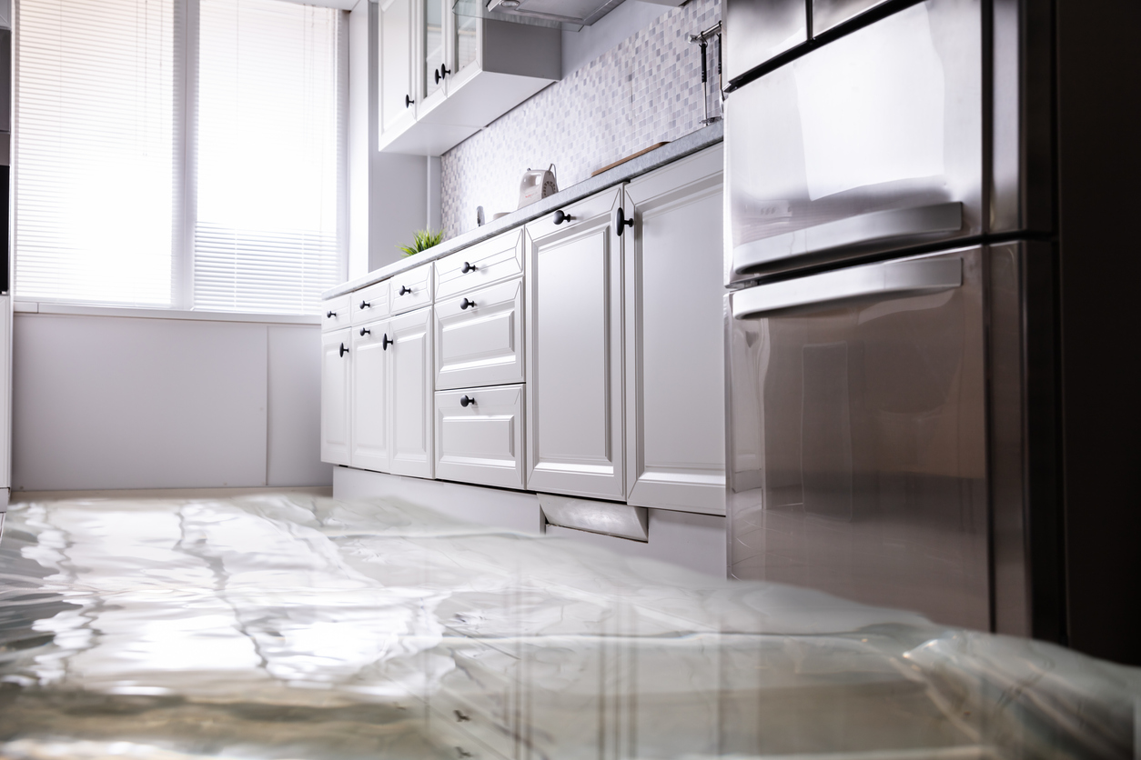 Source: https://isure.ca/inews/water-damage/