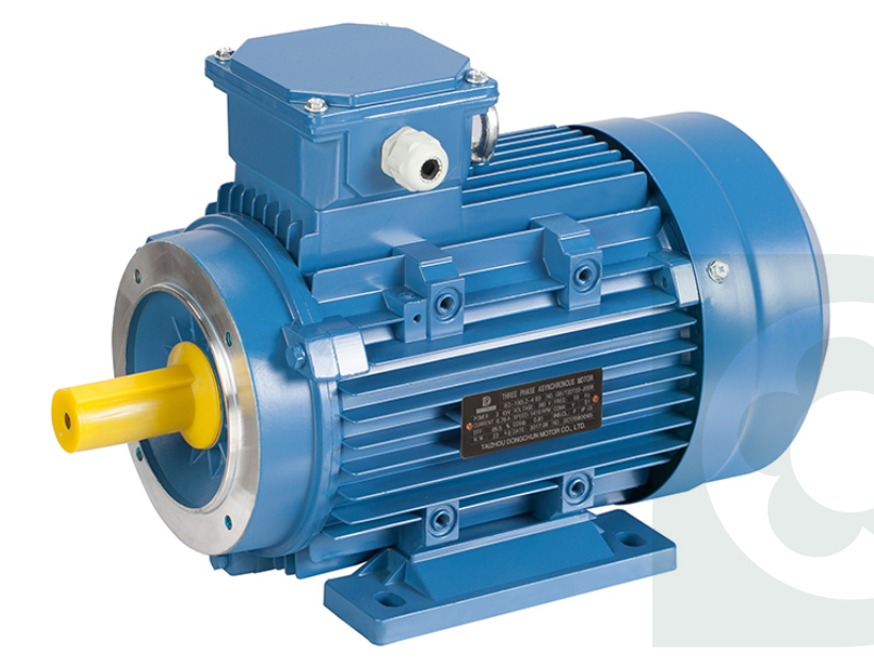 How to start the asynchronous electric motor ? Click here to get the answer
