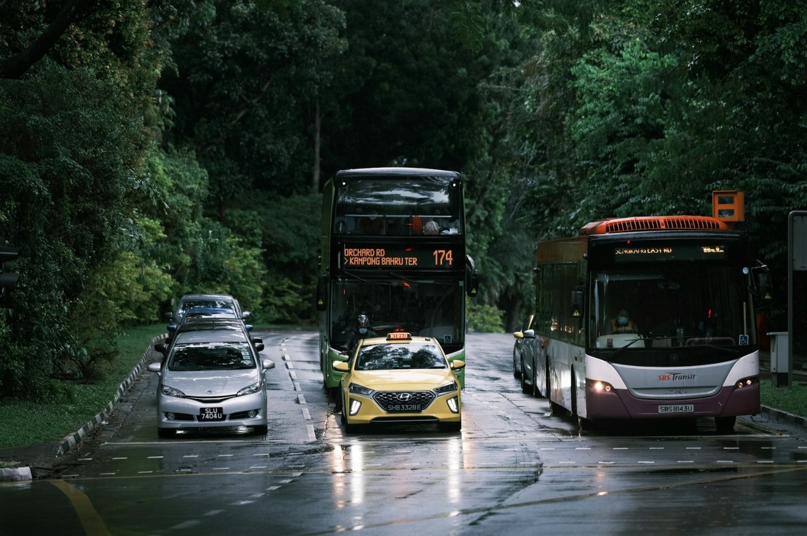 A rainy day on a tree-lined road with a yellow taxi between a double-decker and a red public bus. Overcast lighting adds a calm, urban atmosphere.