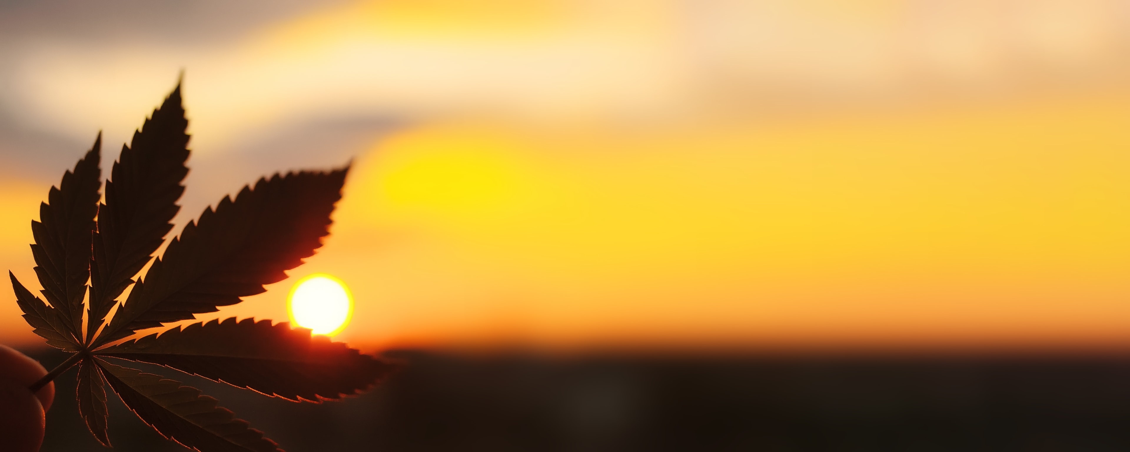 In a short amount of time, the data found on Ohio's marijuana program proves the point that the state was yearning for adult use cannabis.