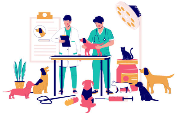 Side Hustle For A Veterinarian: 21 Ideas For 2023 15