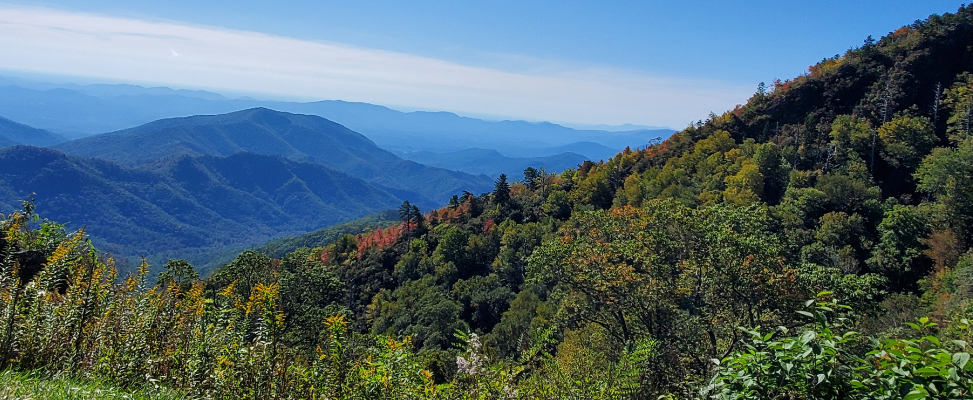 The Blue Ridge Mountains in Shenandoah National Park