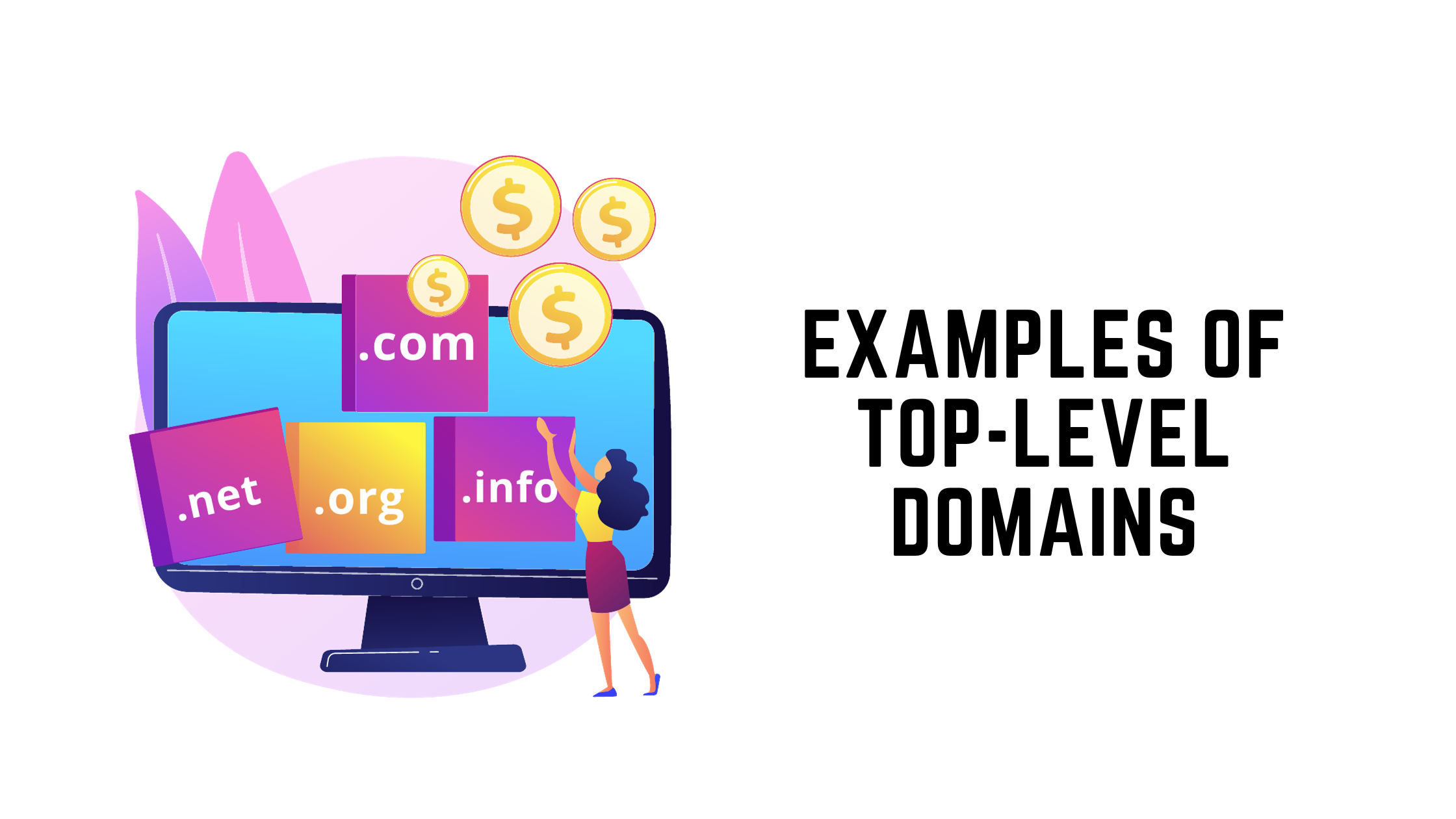 domain extension | top level domains 
