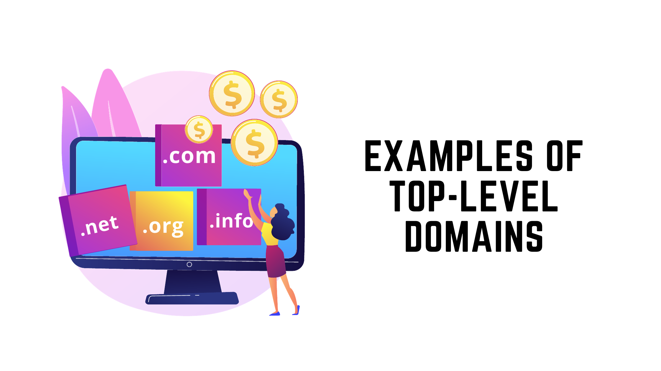 what-is-a-root-domain-a-quick-guide