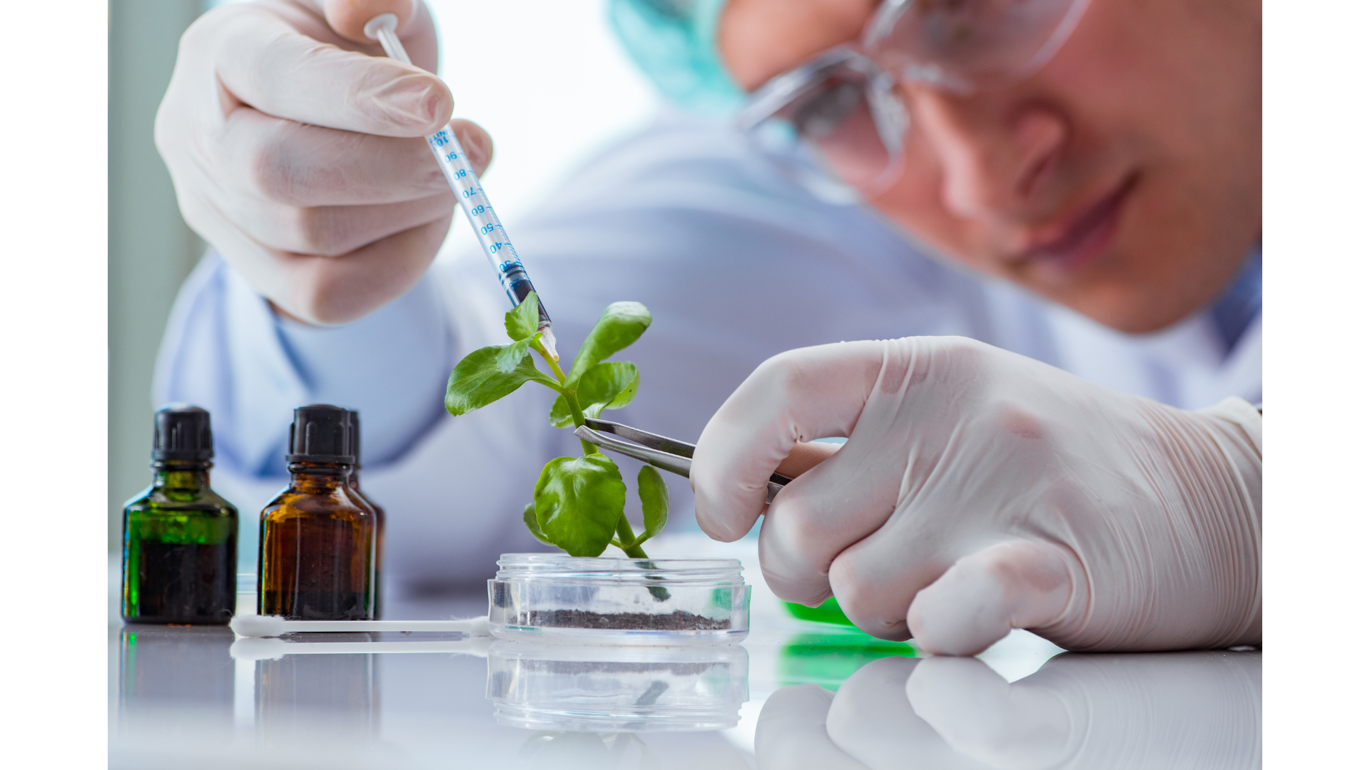 biotechnology / pharmaceuticals / laboratory