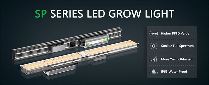 SP Series LED grow light