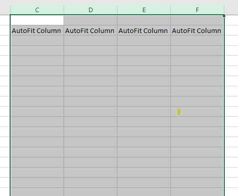 Autofit Multiple columns.
