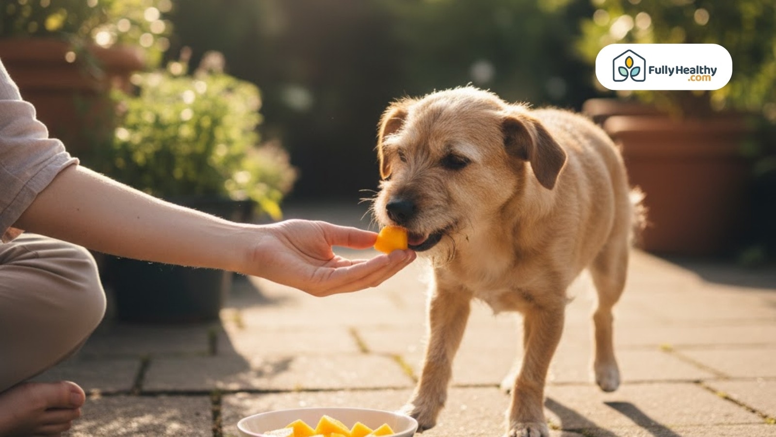 Dog being hand-fed a mango piece outdoors with bowl of mango nearby