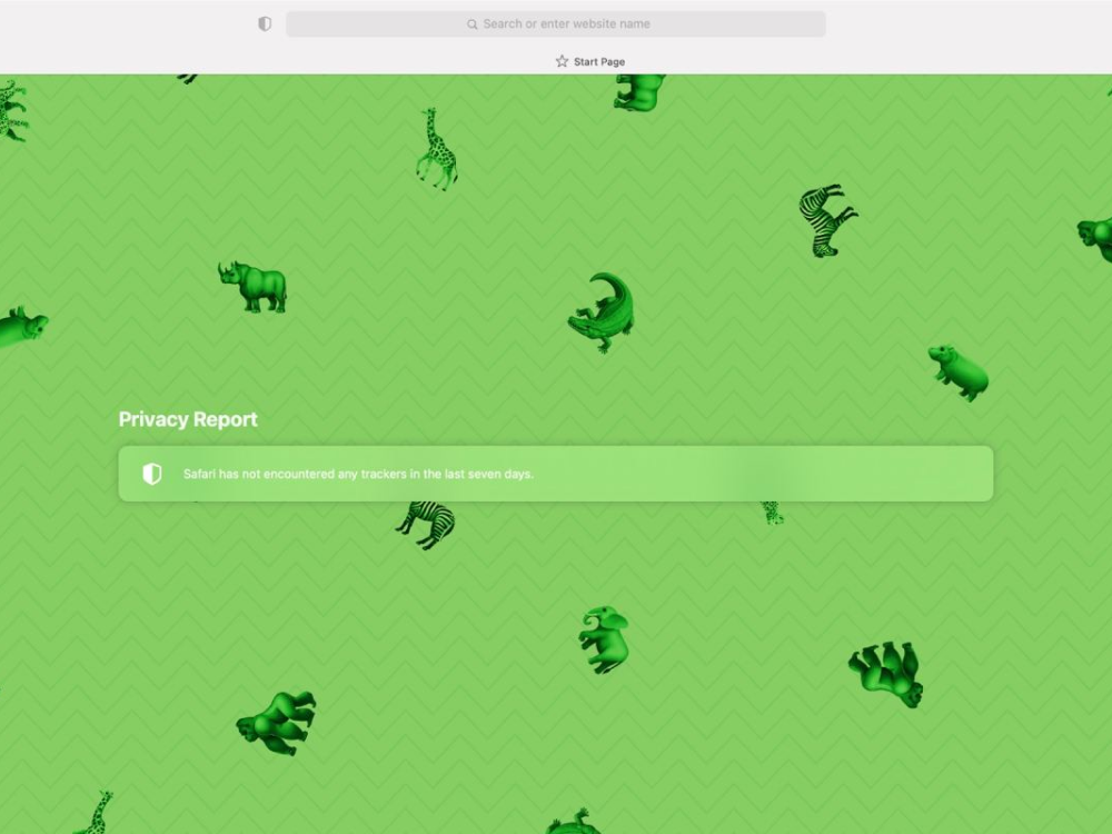 Step 4: Pick your background