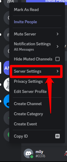 Picture showing how to locate your server settings on Discord