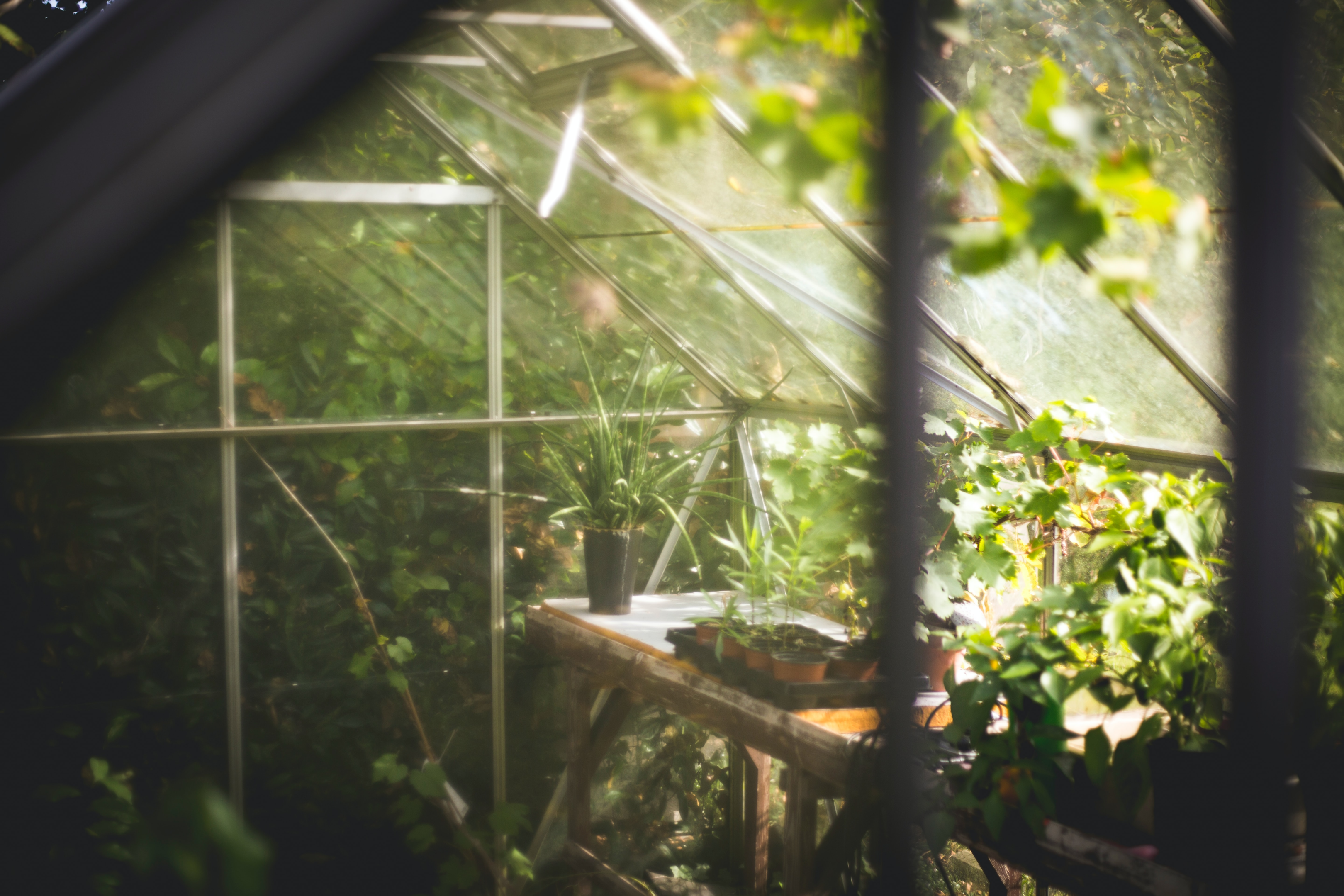 Greenhouses are a perfect structure for gardening enthusiast.