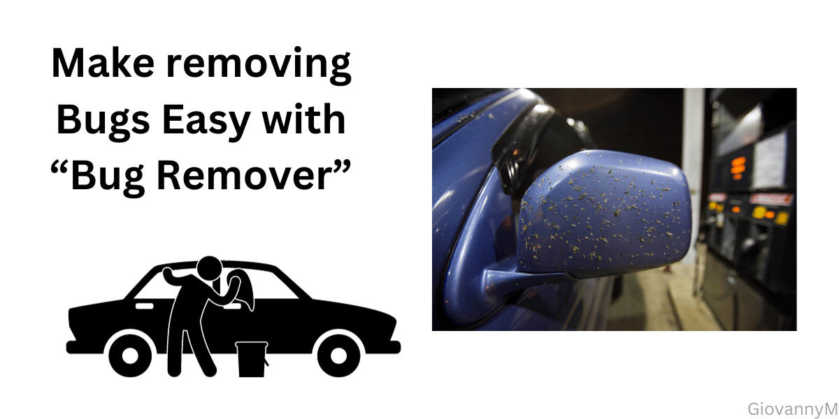 Keep your car bug free. A car detailing must have!