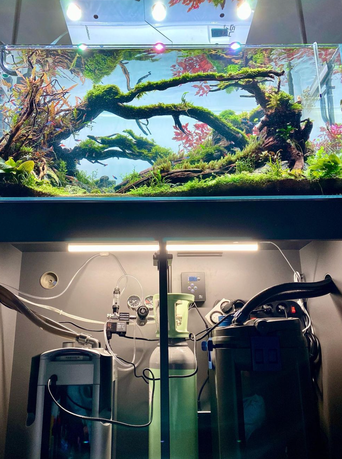 If you use CO2 equipment you should consider space for all that equipment while choosing the right place of your fish tank