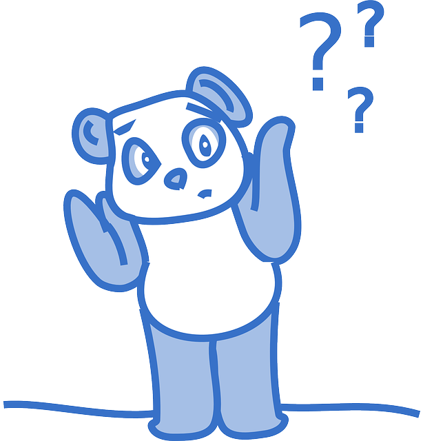 panda, confused, questions