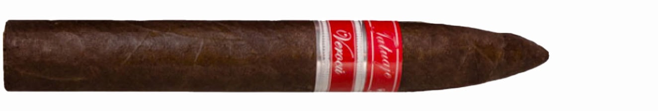 Best for Well-Balanced Blends: Tatuaje Verocu Havana VI No. 6