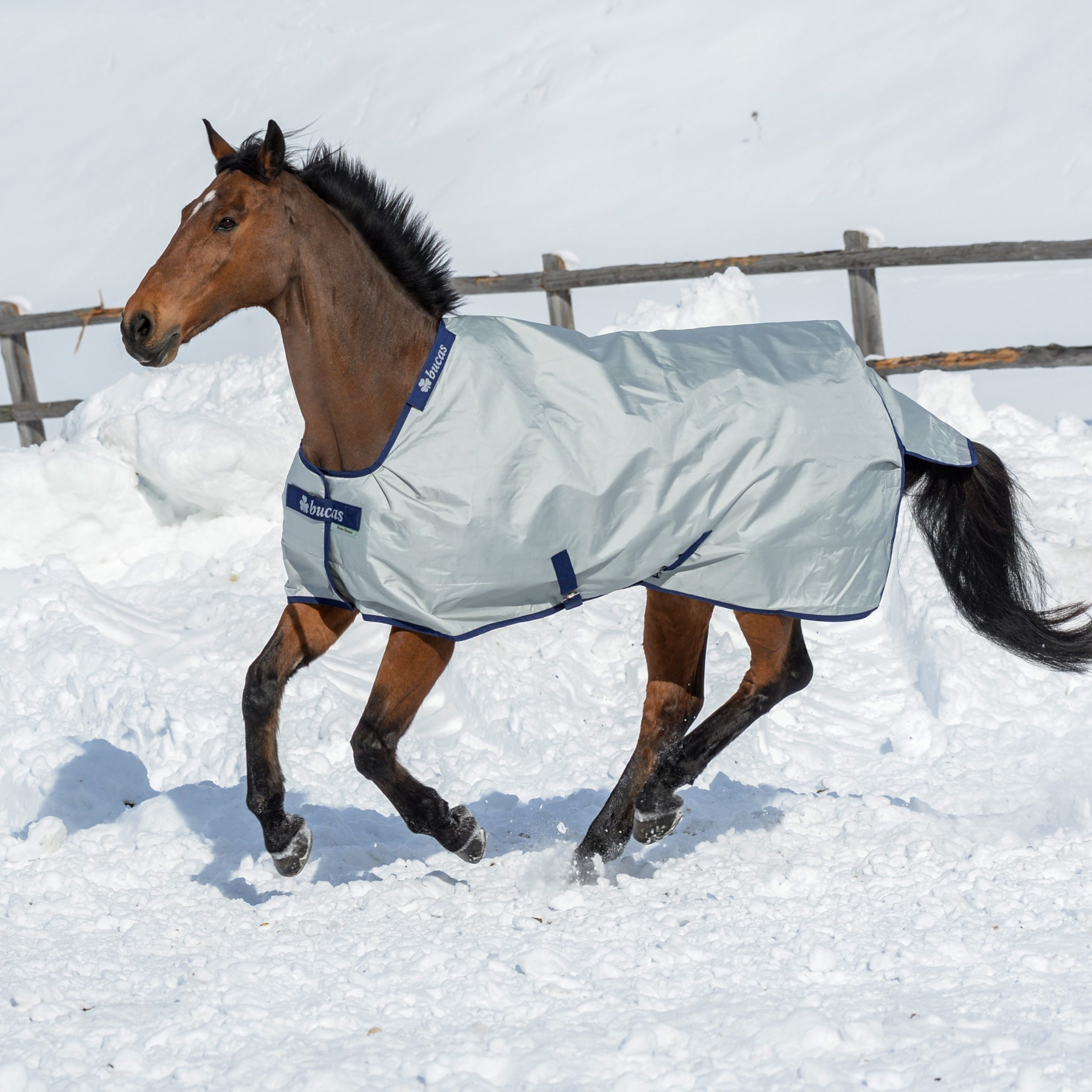 Horse wearing a Bucas Power Turnout blanket in the winter
