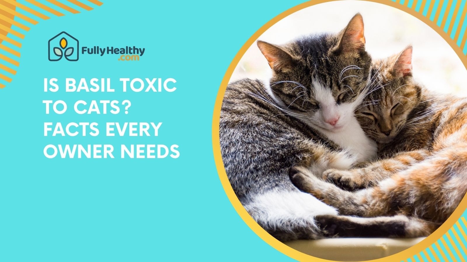 Is Basil Toxic to Cats? Facts Every Owner Needs
